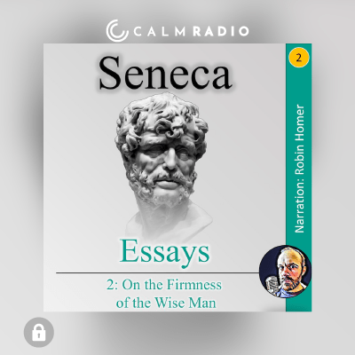 ESSAYS 2 - OVER DE STEVIGHEID VAN DE WIJZE